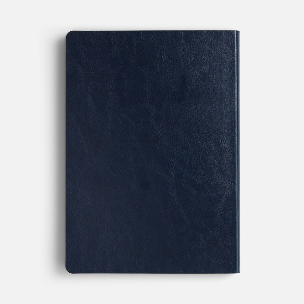 Ежедневник Doppio, недатированный, синий Ежедневник Doppio, недатированный, синий