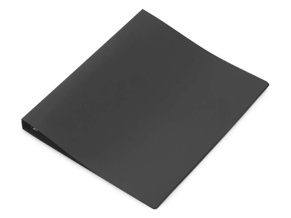 Папка на 4-х кольцах Папка на 4-х кольцах