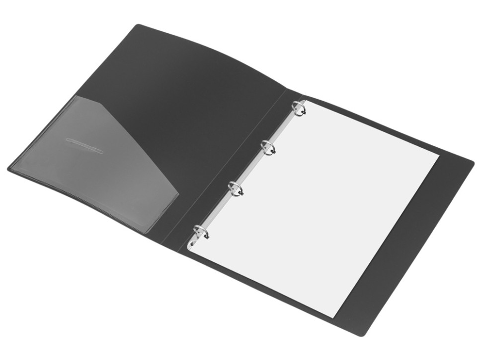 Папка на 4-х кольцах Папка на 4-х кольцах