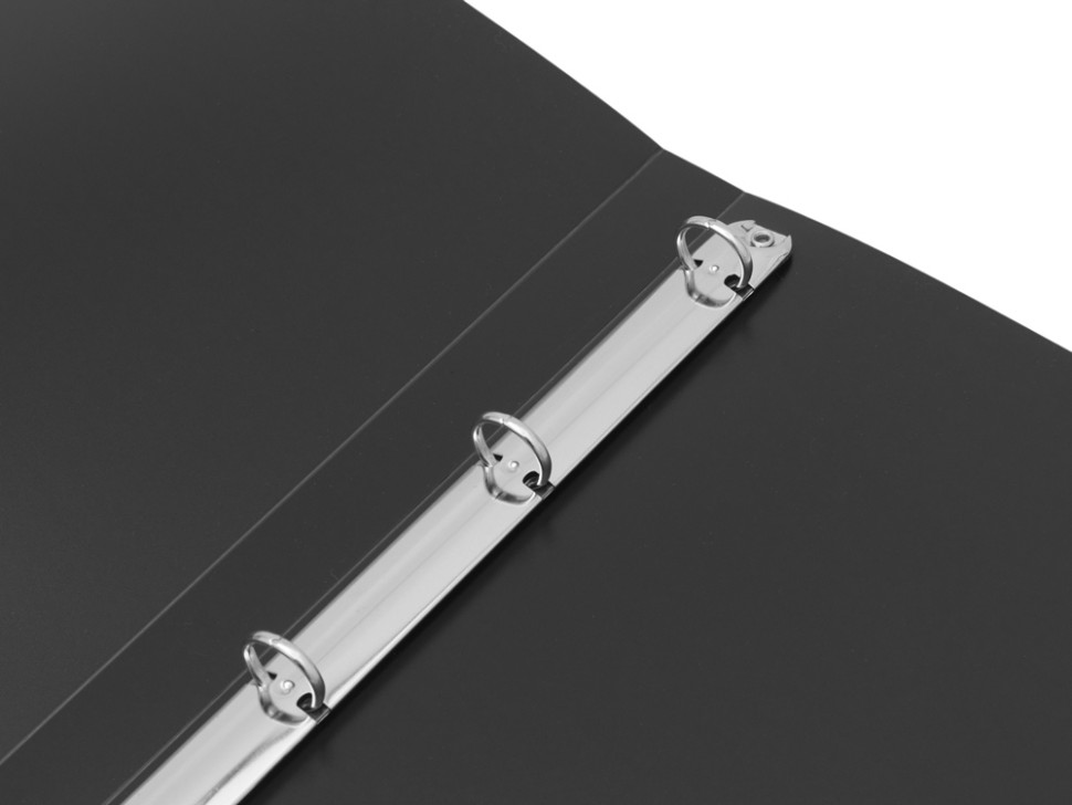 Папка на 4-х кольцах Папка на 4-х кольцах