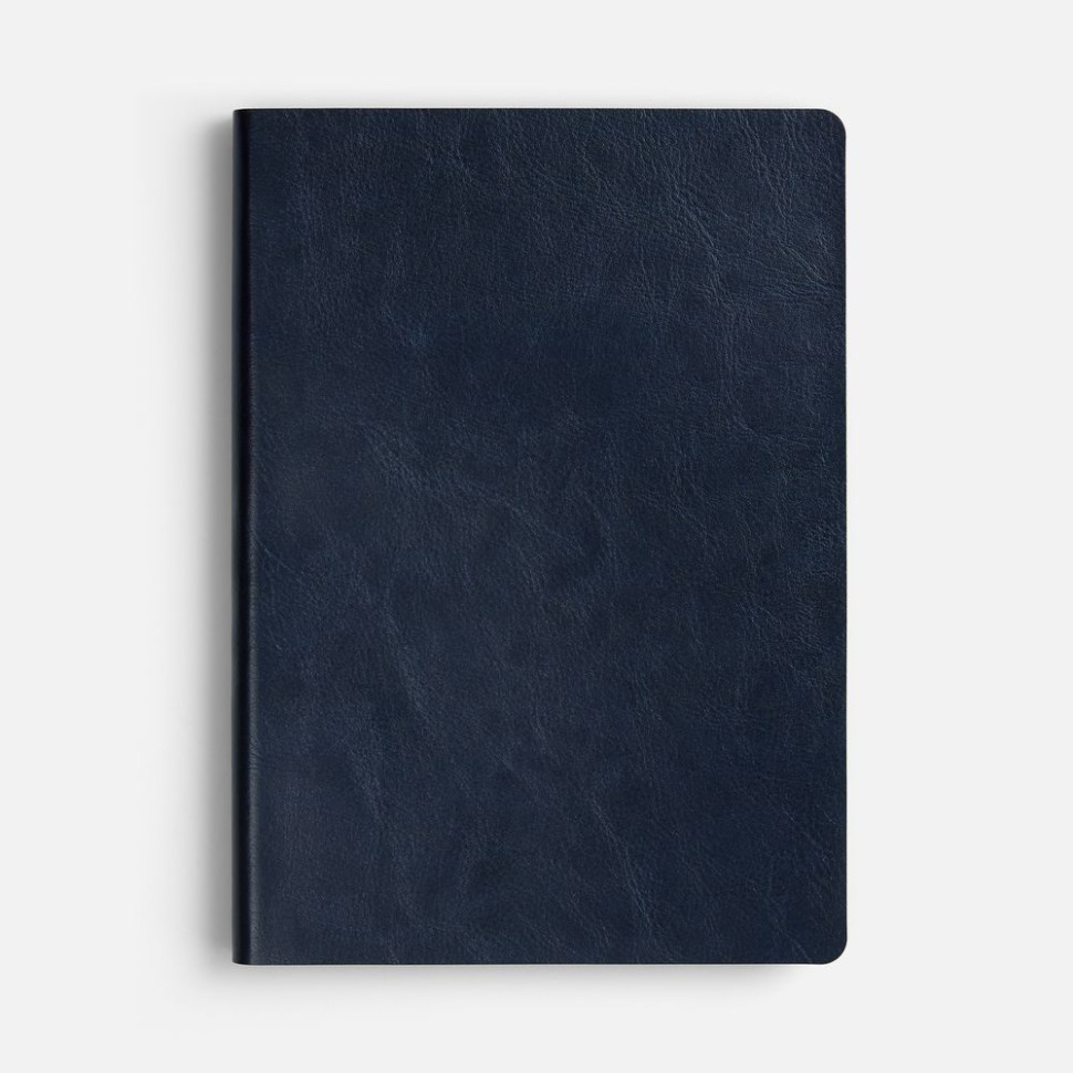 Ежедневник Doppio, недатированный, синий с голубым