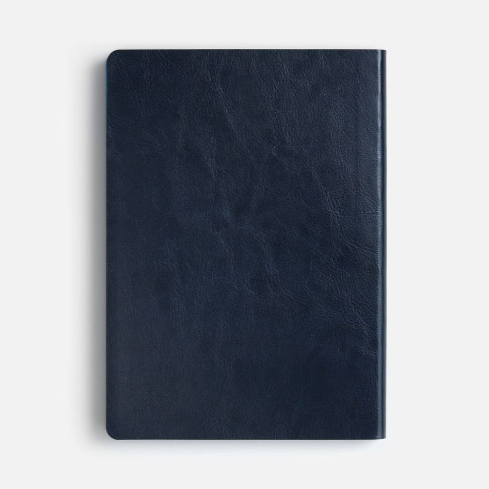 Ежедневник Doppio, недатированный, синий с голубым