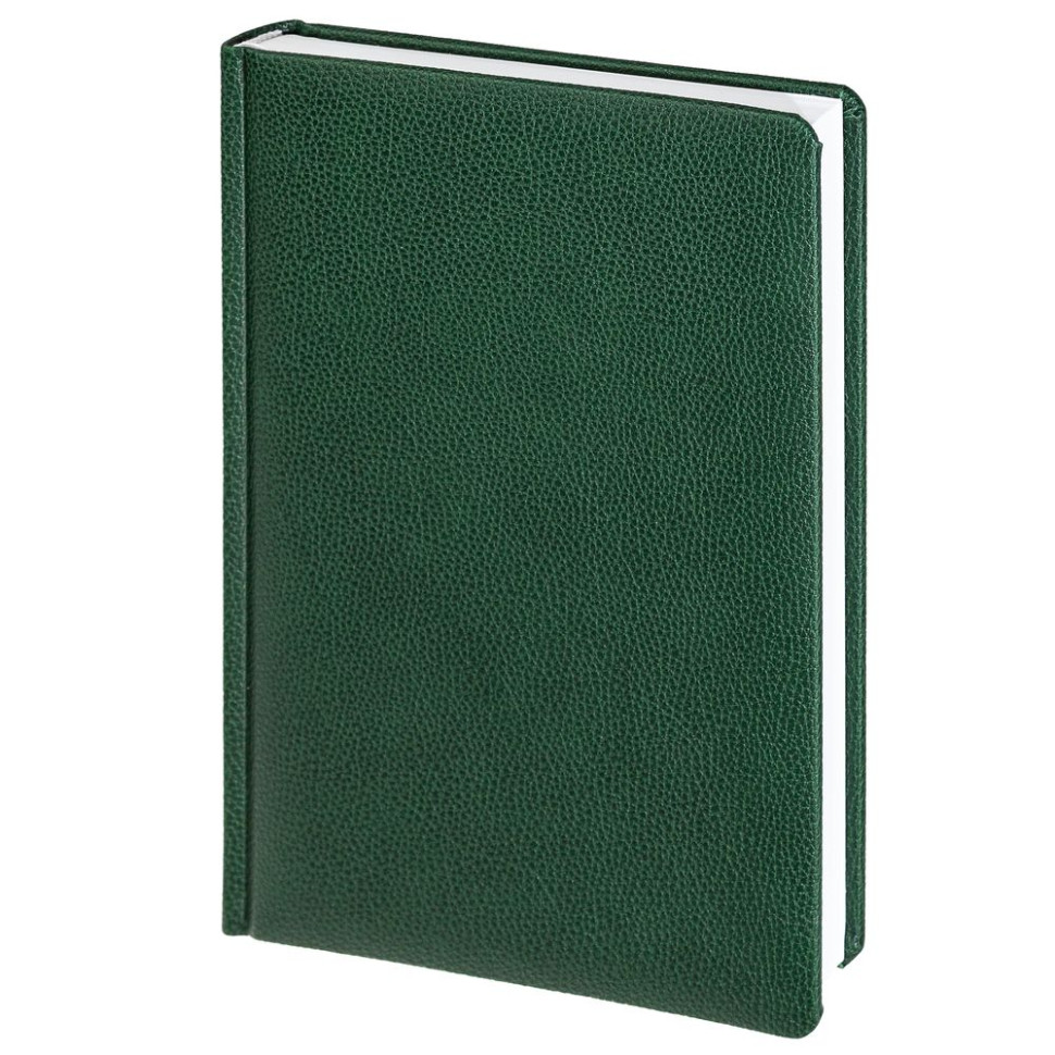 Ежедневник Sagrin, недатированный, зеленый Ежедневник Sagrin, недатированный, зеленый