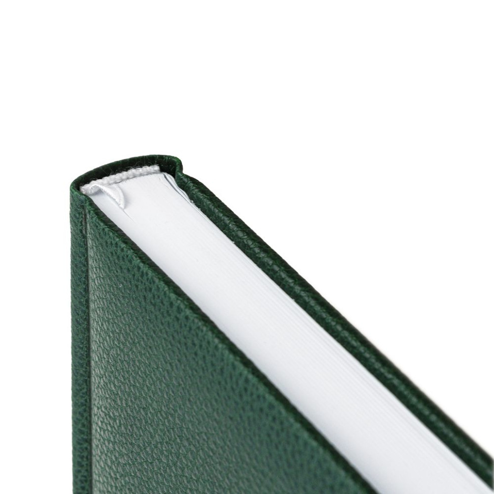 Ежедневник Sagrin, недатированный, зеленый Ежедневник Sagrin, недатированный, зеленый