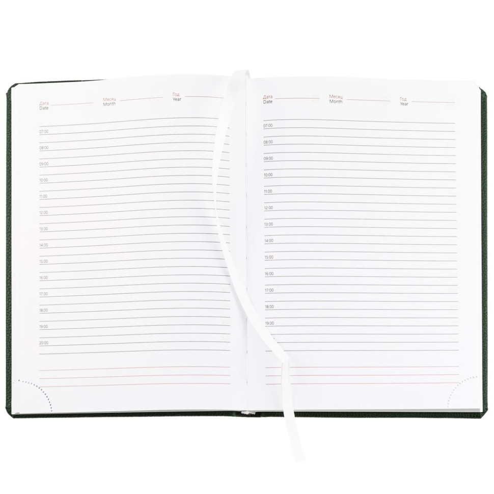 Ежедневник Sagrin, недатированный, зеленый Ежедневник Sagrin, недатированный, зеленый