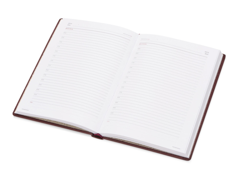 Ежедневник недатированный А5 Velvet