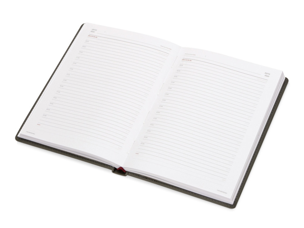 Ежедневник недатированный А5 Velvet