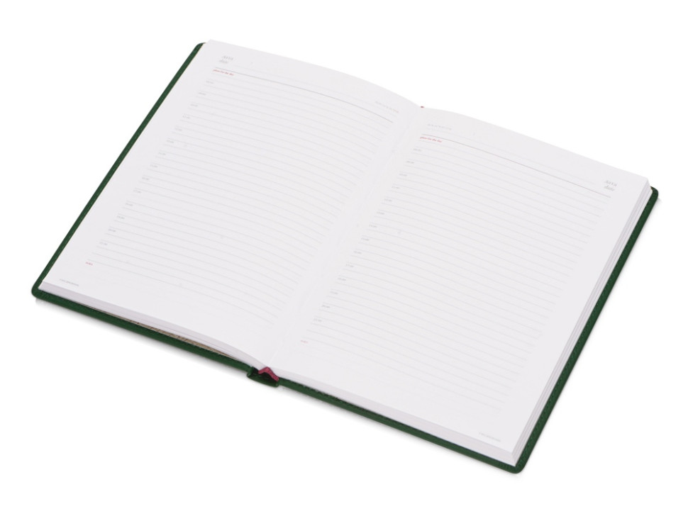 Ежедневник недатированный А5 Velvet