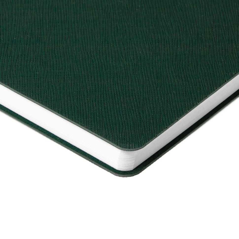 Ежедневник Flexpen Bright, недатированный, зеленый