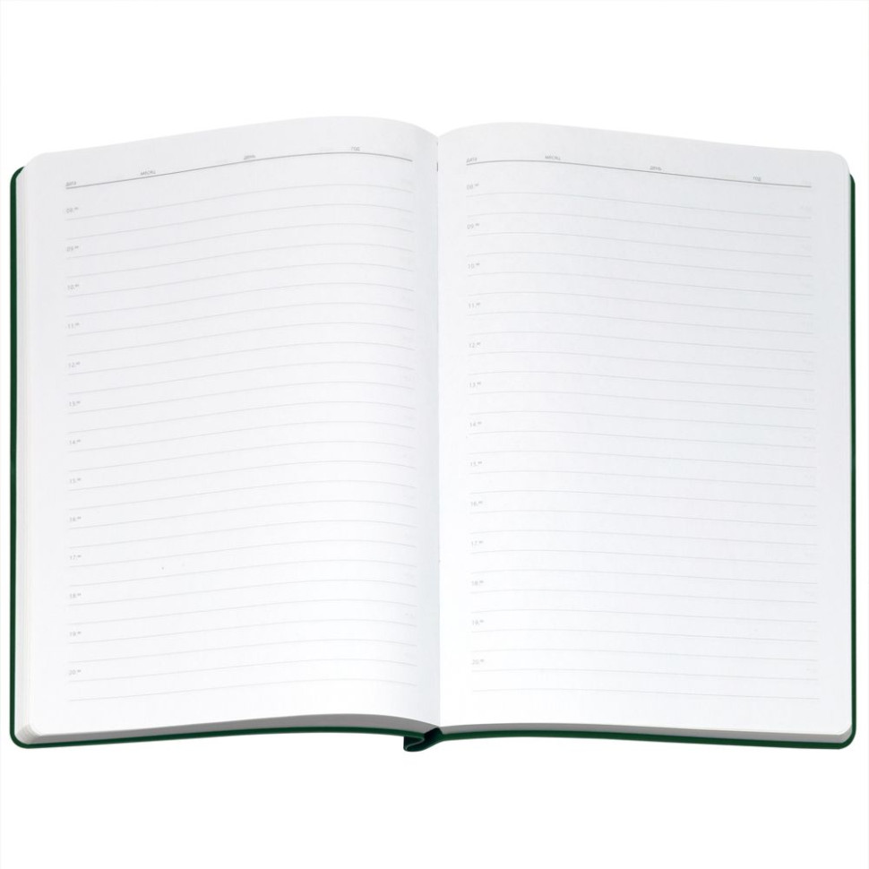 Ежедневник Flexpen Bright, недатированный, зеленый