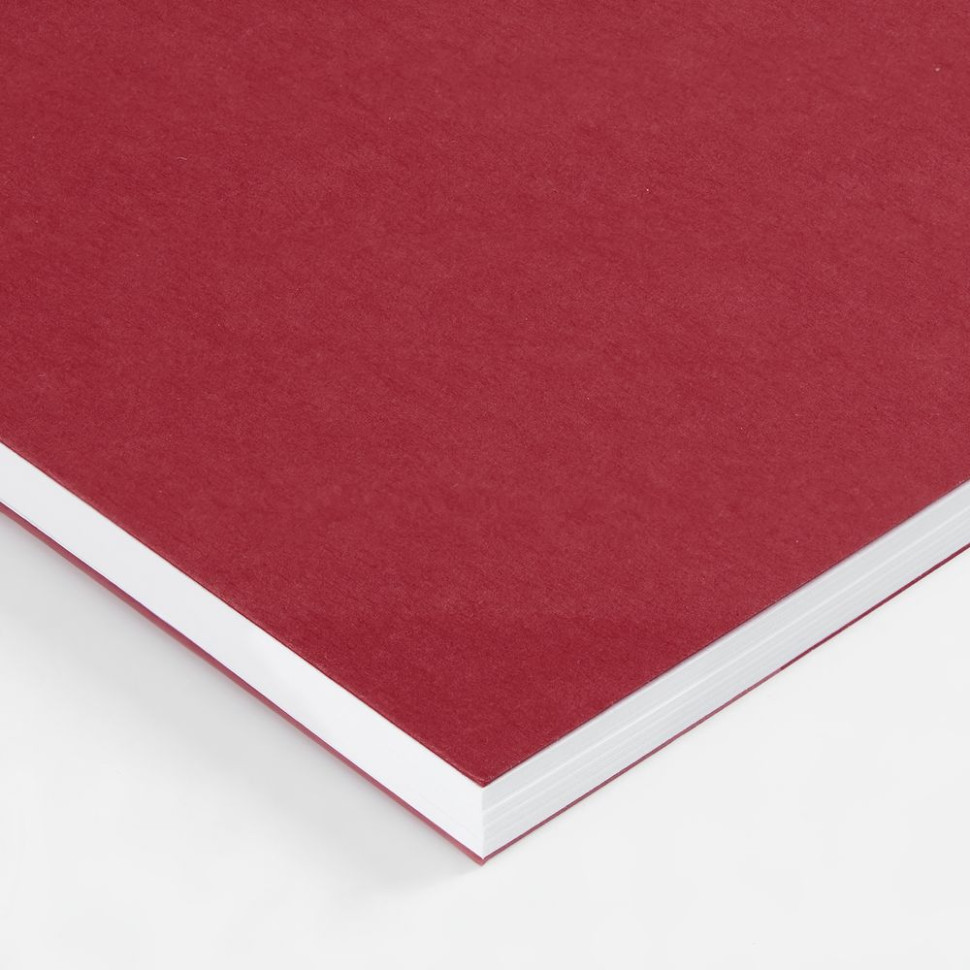 Блокнот Salvador в клетку, красный ver.2 Блокнот Salvador в клетку, красный ver.2