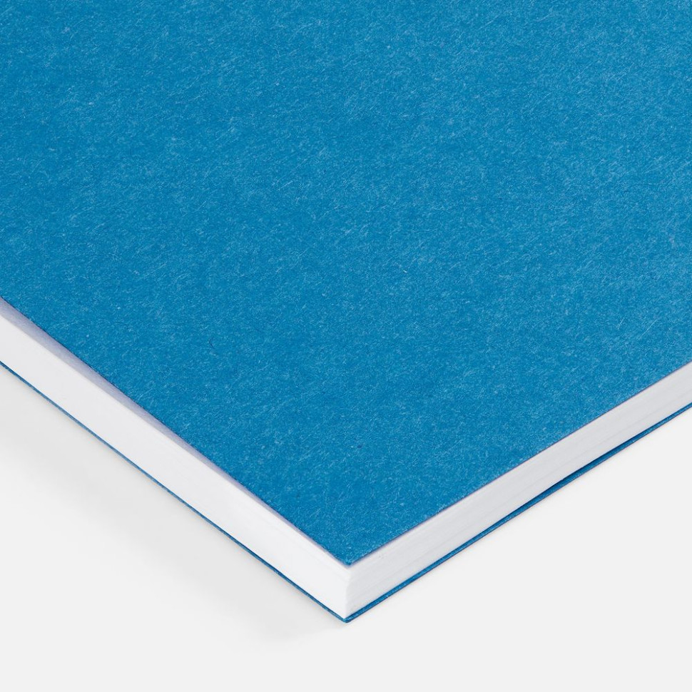 Блокнот Salvador в клетку, синий ver.2 Блокнот Salvador в клетку, синий ver.2