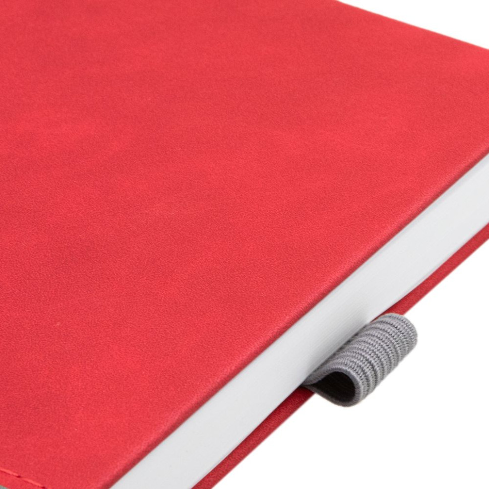 Ежедневник Horizon, недатированный, серый с красным Ежедневник Horizon, недатированный, серый с красным