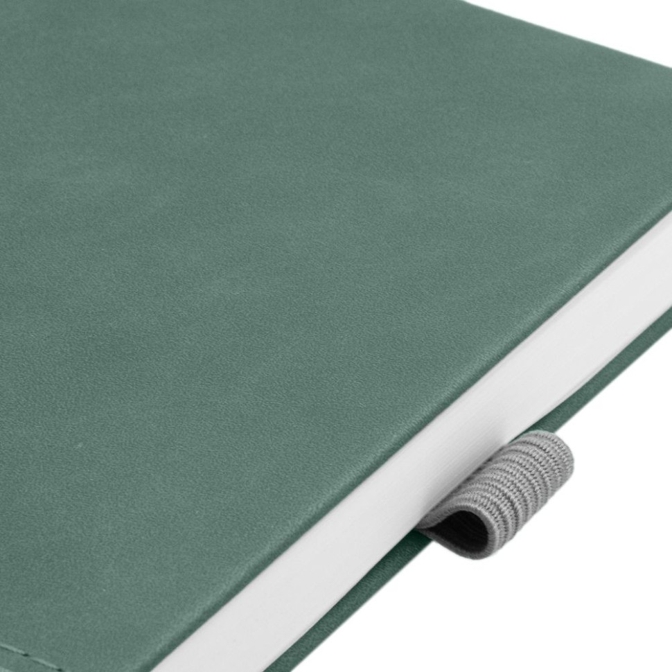 Ежедневник Horizon, недатированный, серый с зеленым Ежедневник Horizon, недатированный, серый с зеленым