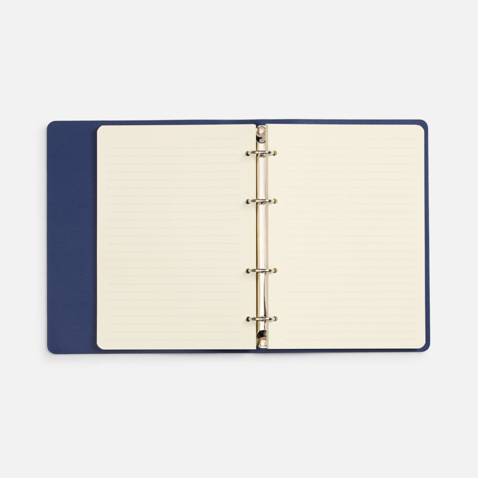 Ежедневник Ringo, недатированный, синий Ежедневник Ringo, недатированный, синий