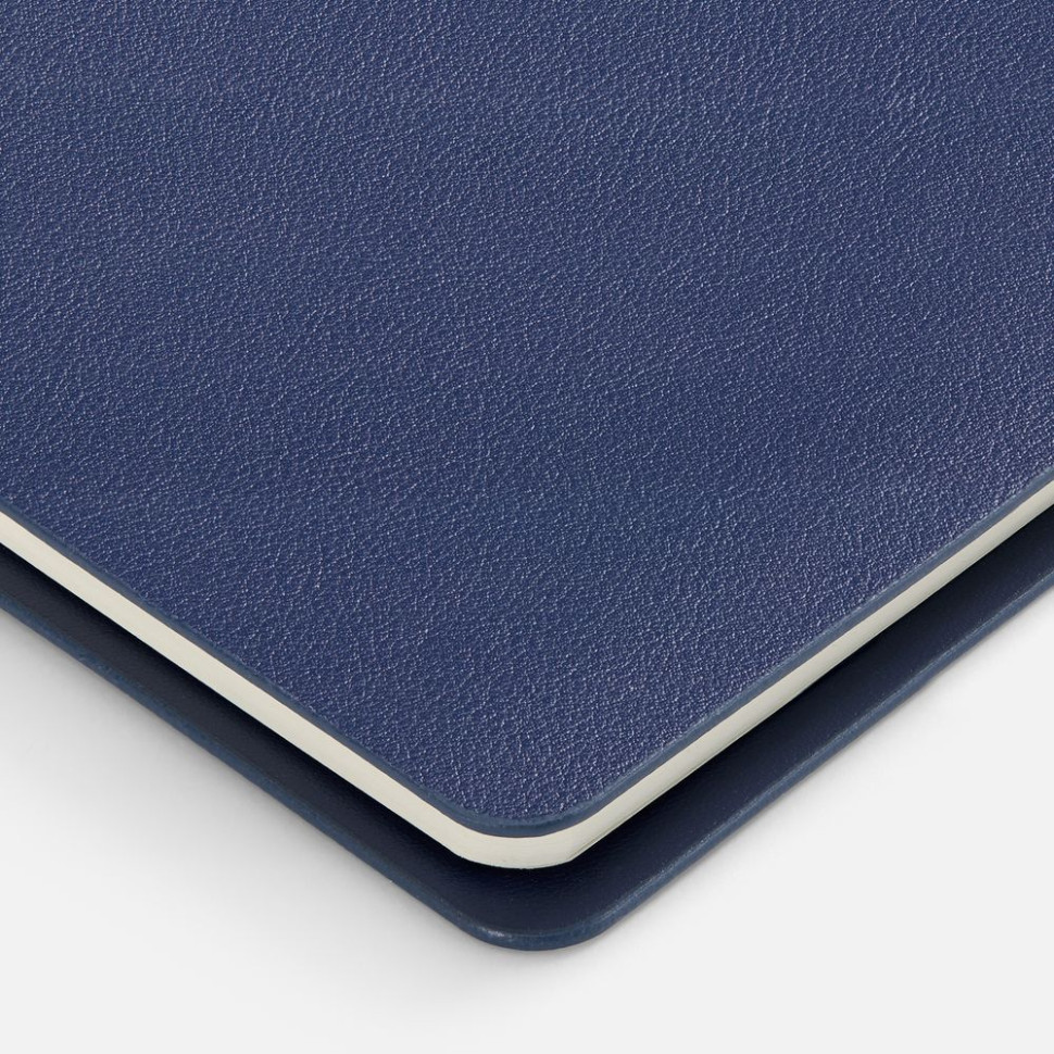 Ежедневник Ringo, недатированный, синий Ежедневник Ringo, недатированный, синий