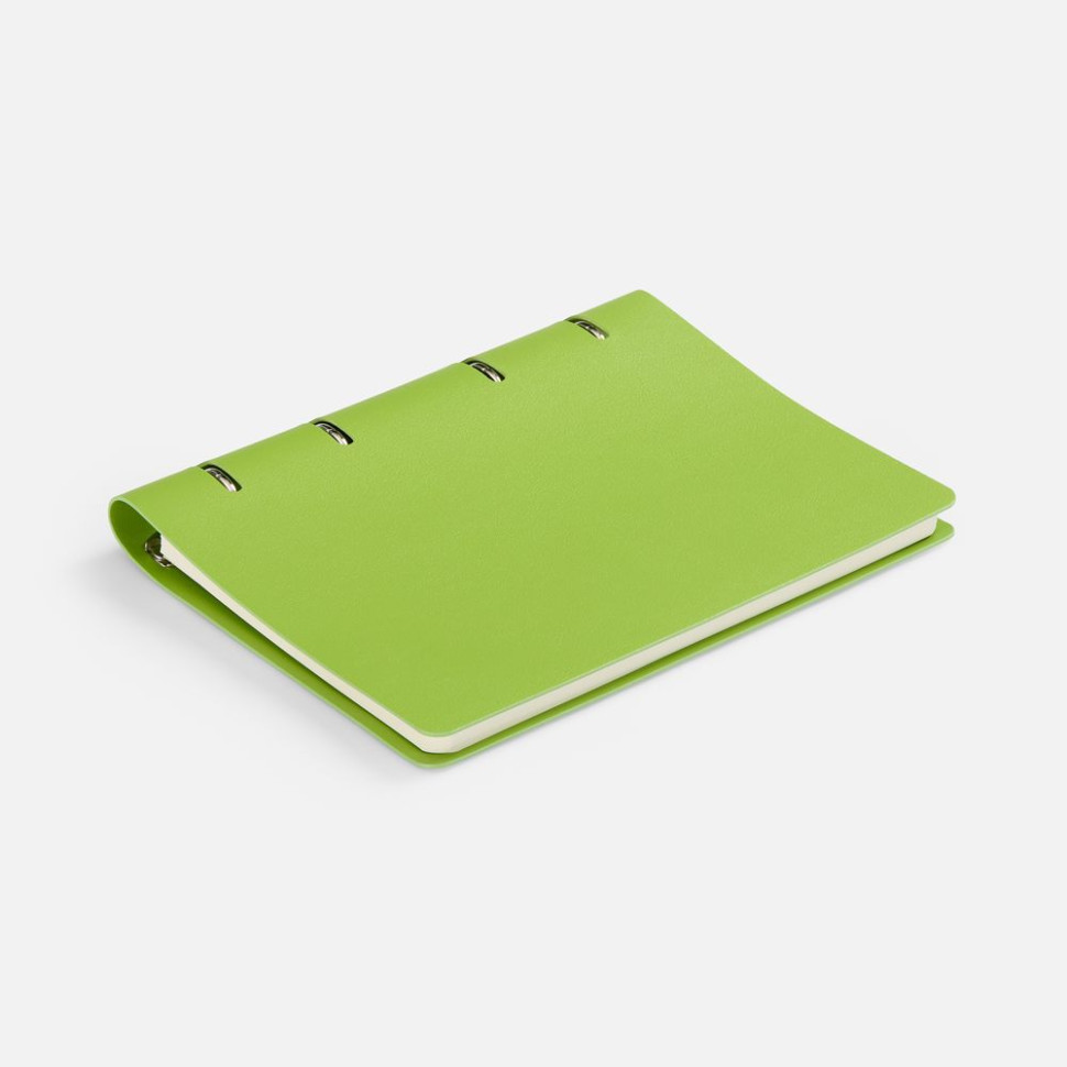 Ежедневник Ringo, недатированный, зеленый Ежедневник Ringo, недатированный, зеленый