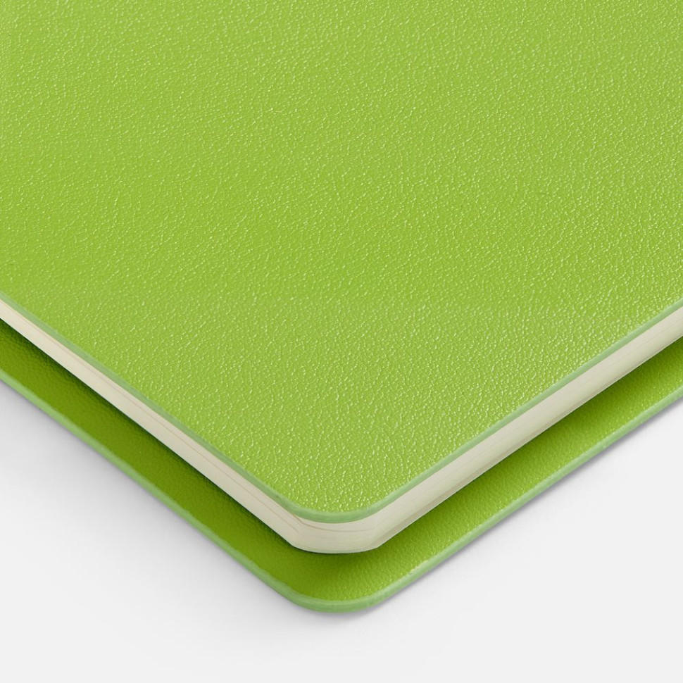 Ежедневник Ringo, недатированный, зеленый Ежедневник Ringo, недатированный, зеленый