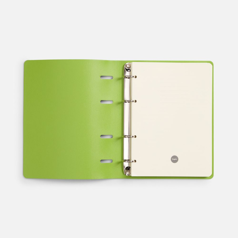 Ежедневник Ringo, недатированный, зеленый Ежедневник Ringo, недатированный, зеленый