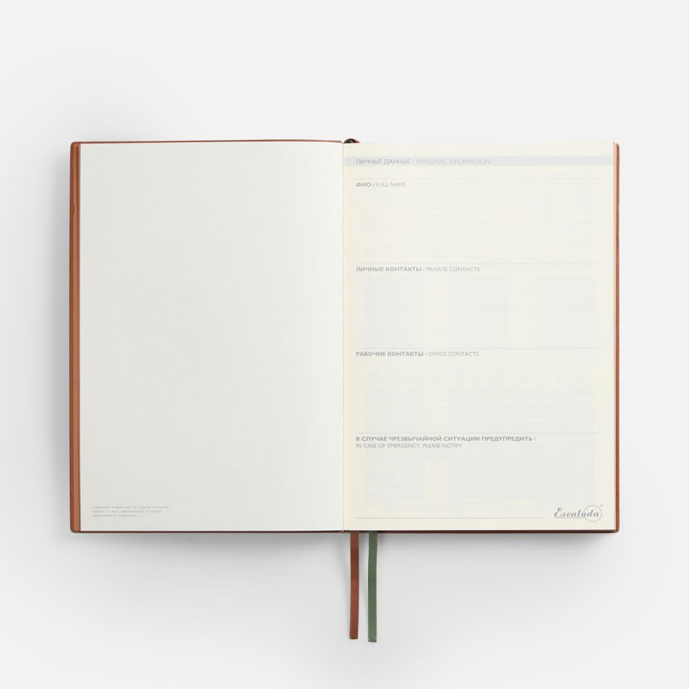 Ежедневник Avila, недатированный, зеленый Ежедневник Avila, недатированный, зеленый