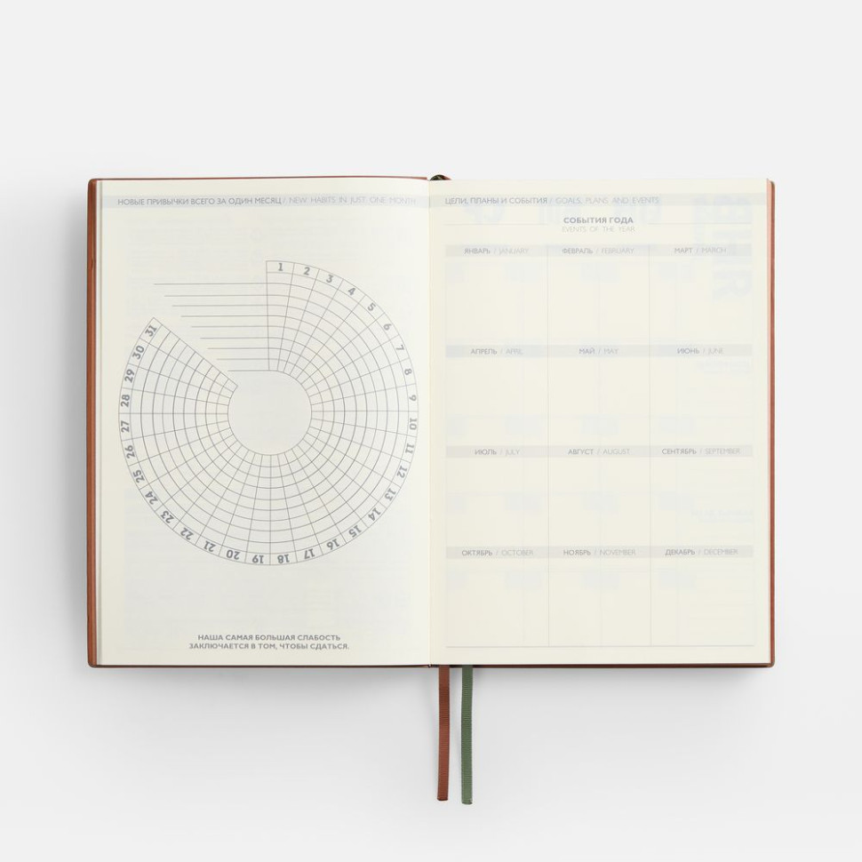 Ежедневник Avila, недатированный, зеленый Ежедневник Avila, недатированный, зеленый