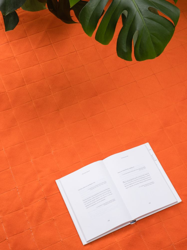 Плед для пикника Soft & Dry 2, оранжевый Плед для пикника Soft & Dry 2, оранжевый