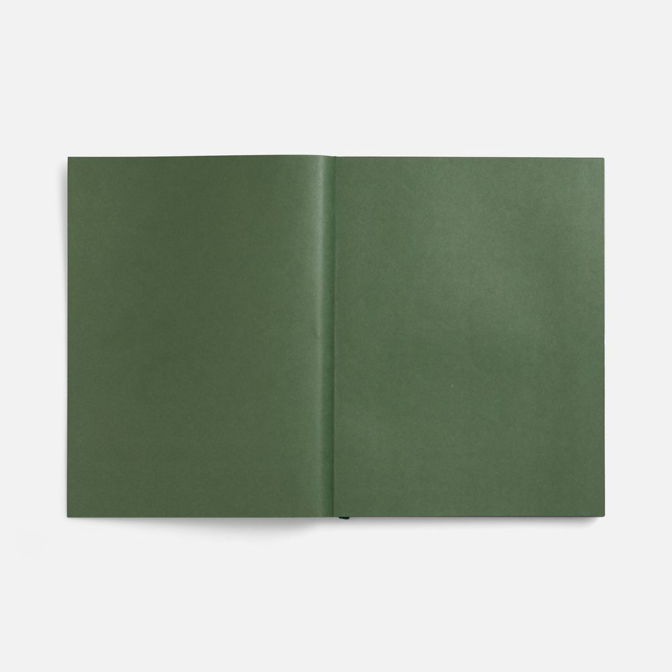 Ежедневник Flat Maxi, недатированный, зеленый, ver.2 Ежедневник Flat Maxi, недатированный, зеленый, ver.2