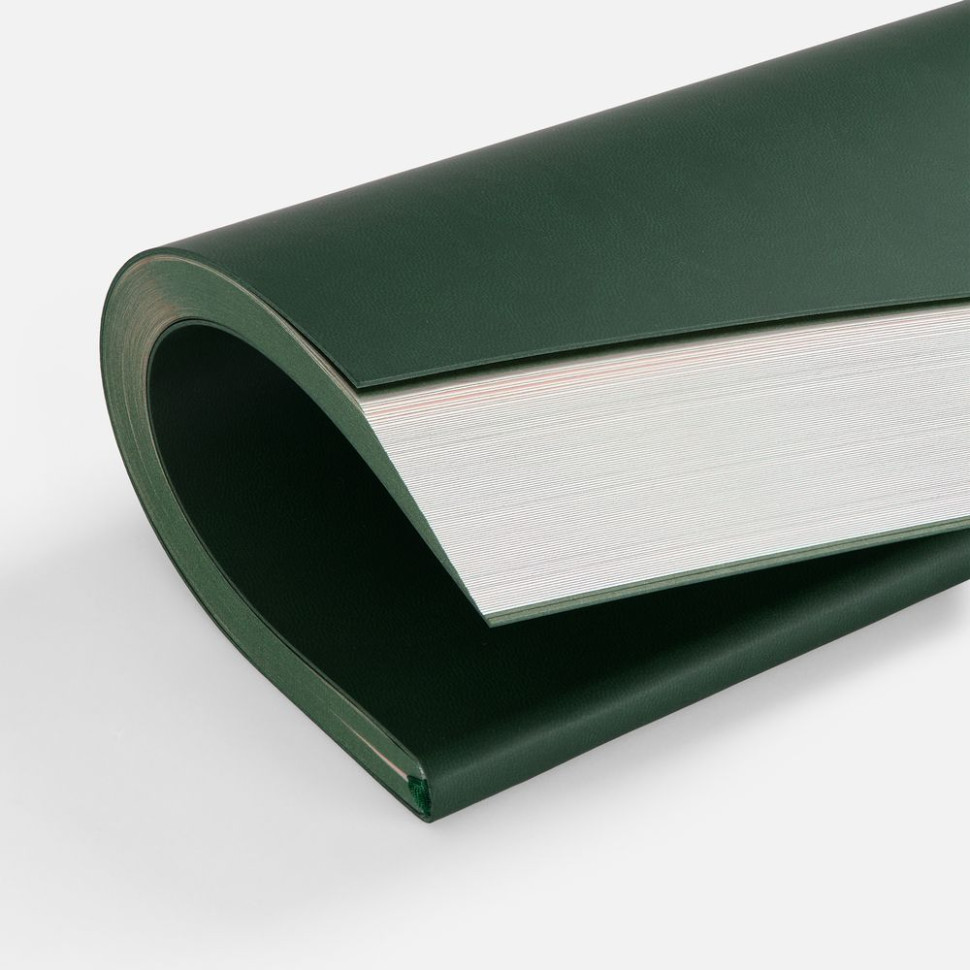 Ежедневник Flat Maxi, недатированный, зеленый, ver.2 Ежедневник Flat Maxi, недатированный, зеленый, ver.2