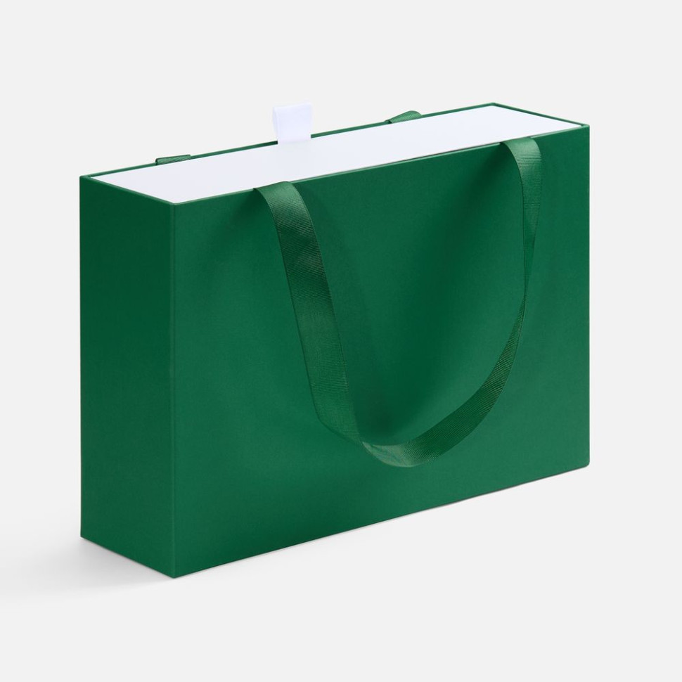 Коробка Regalis, зеленая Коробка Regalis, зеленая