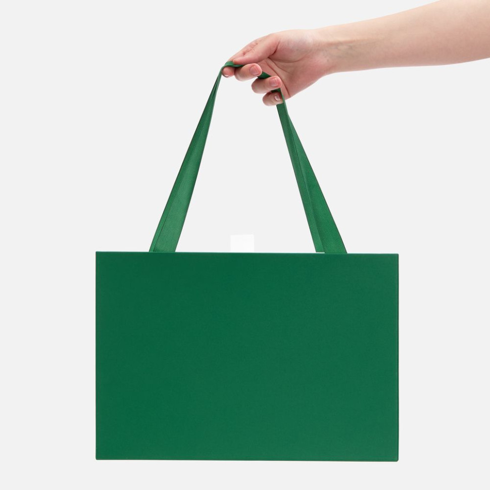 Коробка Regalis, зеленая Коробка Regalis, зеленая