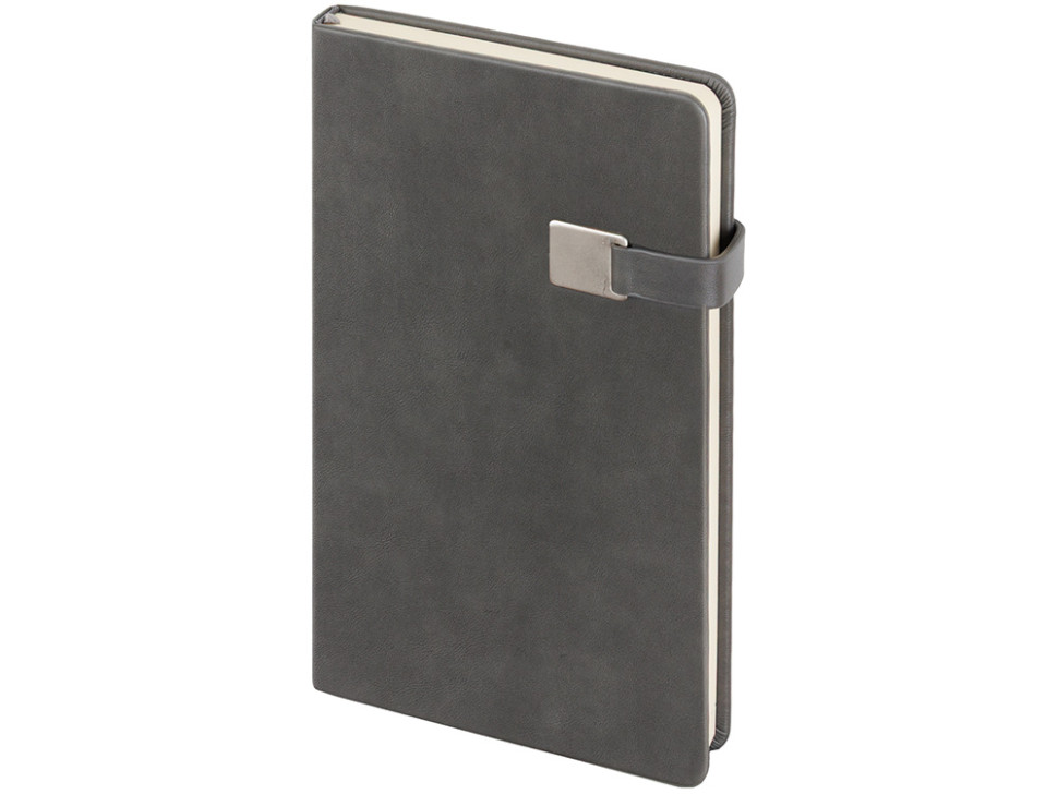 Ежедневник недатированный А5 Premier