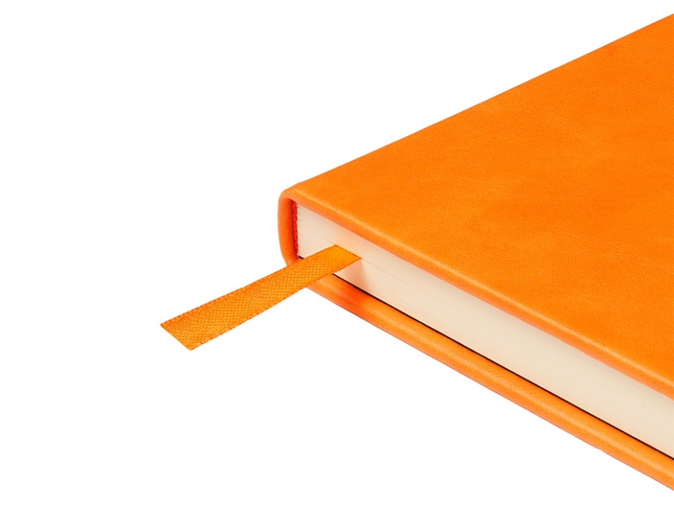 Ежедневник недатированный А5 Premier