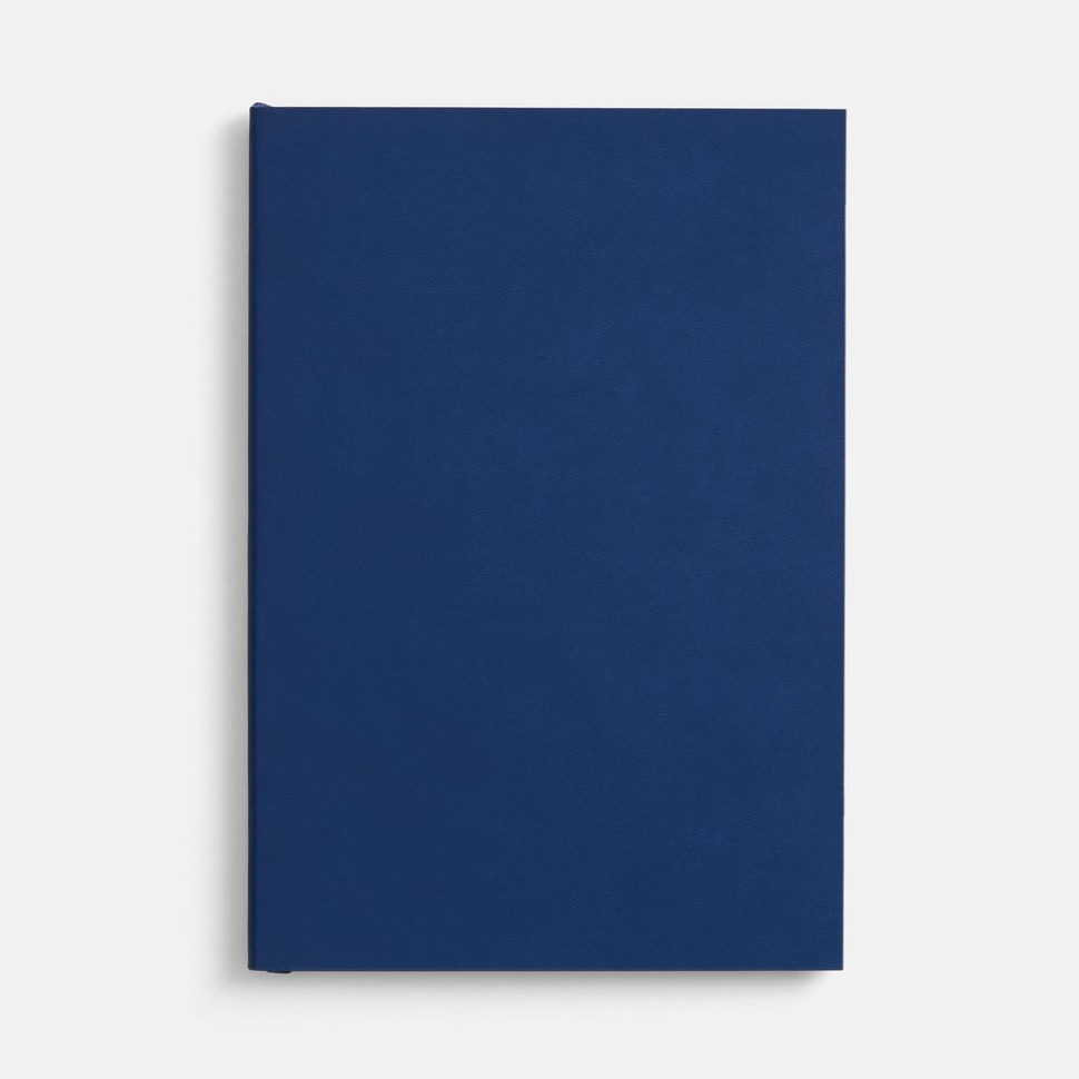 Ежедневник Flat, недатированный, синий, ver.2 Ежедневник Flat, недатированный, синий, ver.2