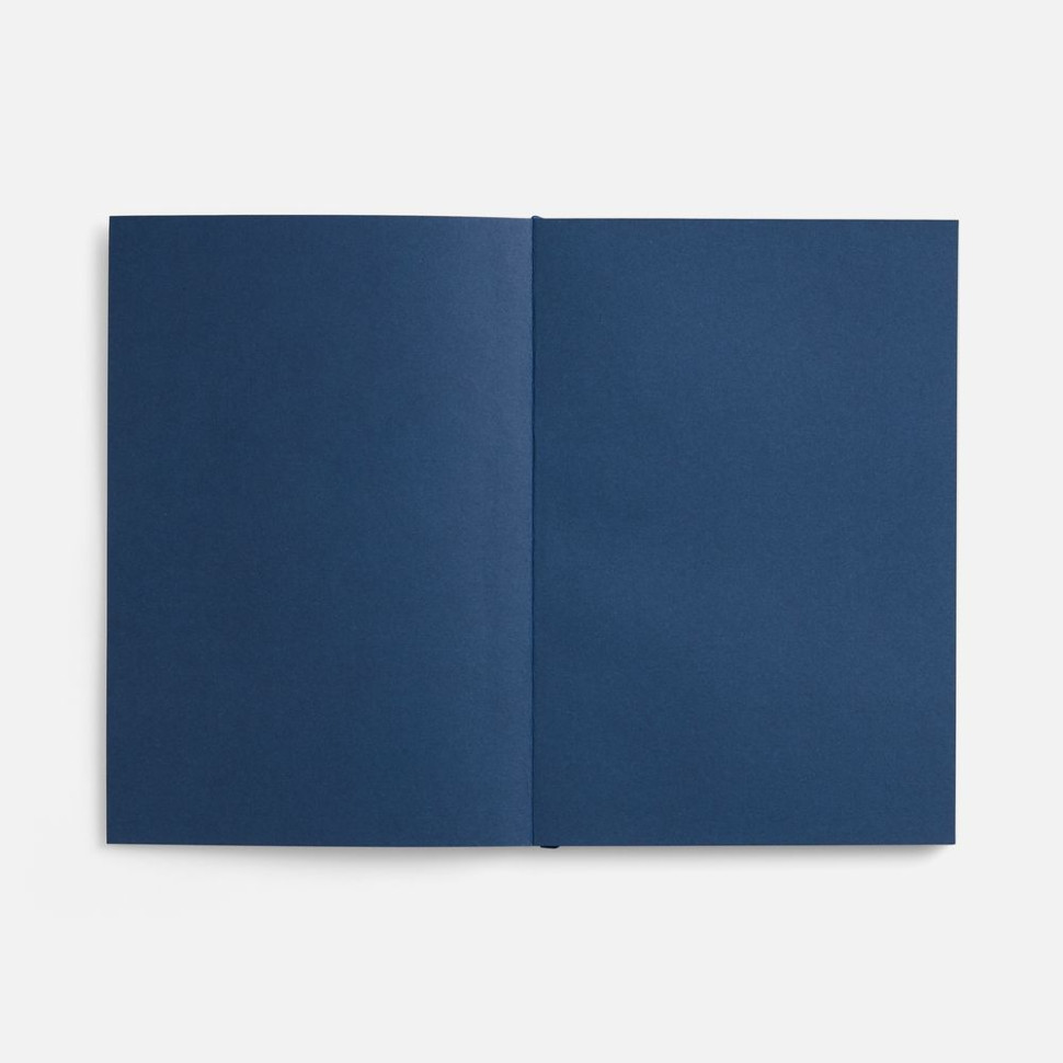 Ежедневник Flat, недатированный, синий, ver.2 Ежедневник Flat, недатированный, синий, ver.2