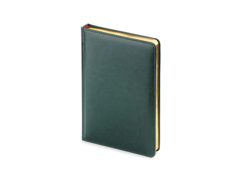 Ежедневник недатированный А5 Sidney Nebraska с золотым срезом