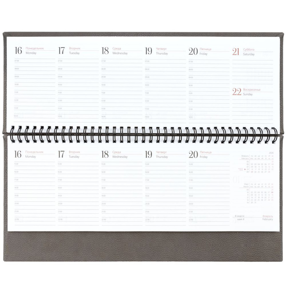 Планинг Sagrin, датированный, серый Планинг Sagrin, датированный, серый