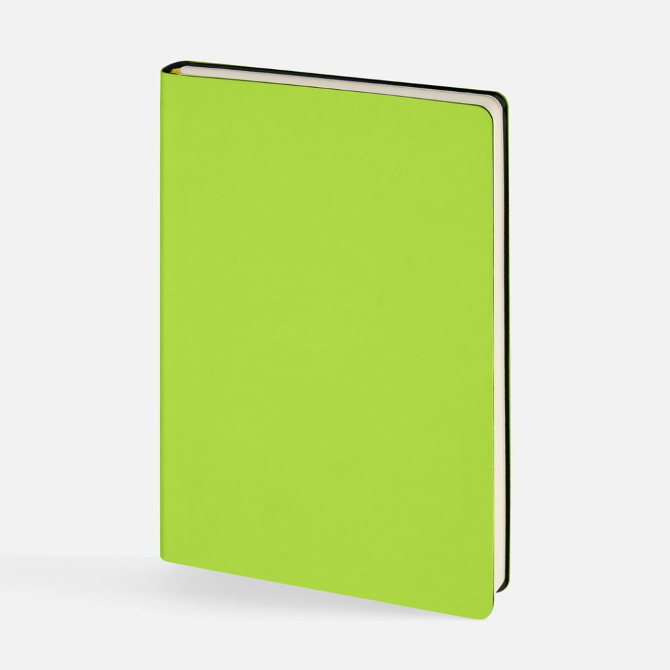 Ежедневник Flex Shall New, недатированный, светло-зеленый Ежедневник Flex Shall New, недатированный, светло-зеленый