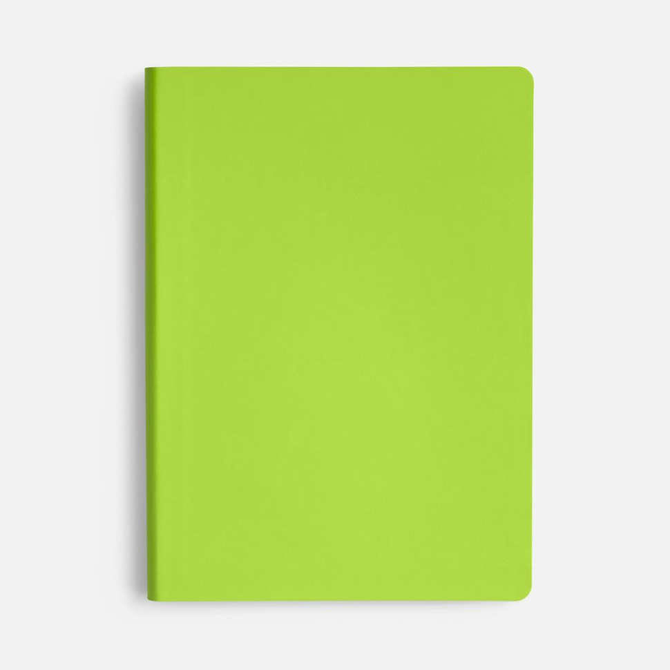 Ежедневник Flex Shall New, недатированный, светло-зеленый Ежедневник Flex Shall New, недатированный, светло-зеленый