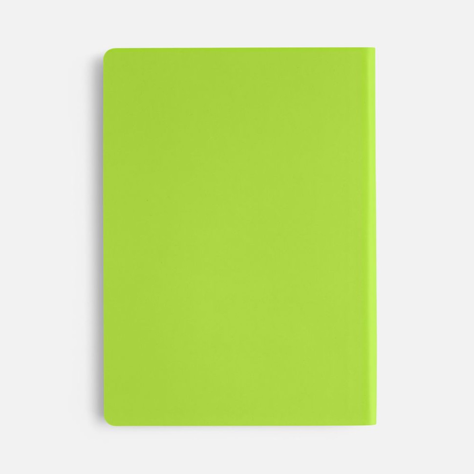 Ежедневник Flex Shall New, недатированный, светло-зеленый Ежедневник Flex Shall New, недатированный, светло-зеленый