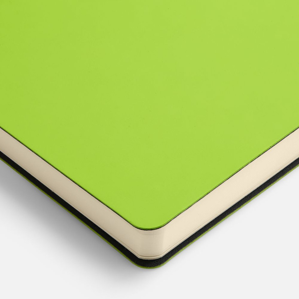 Ежедневник Flex Shall New, недатированный, светло-зеленый Ежедневник Flex Shall New, недатированный, светло-зеленый