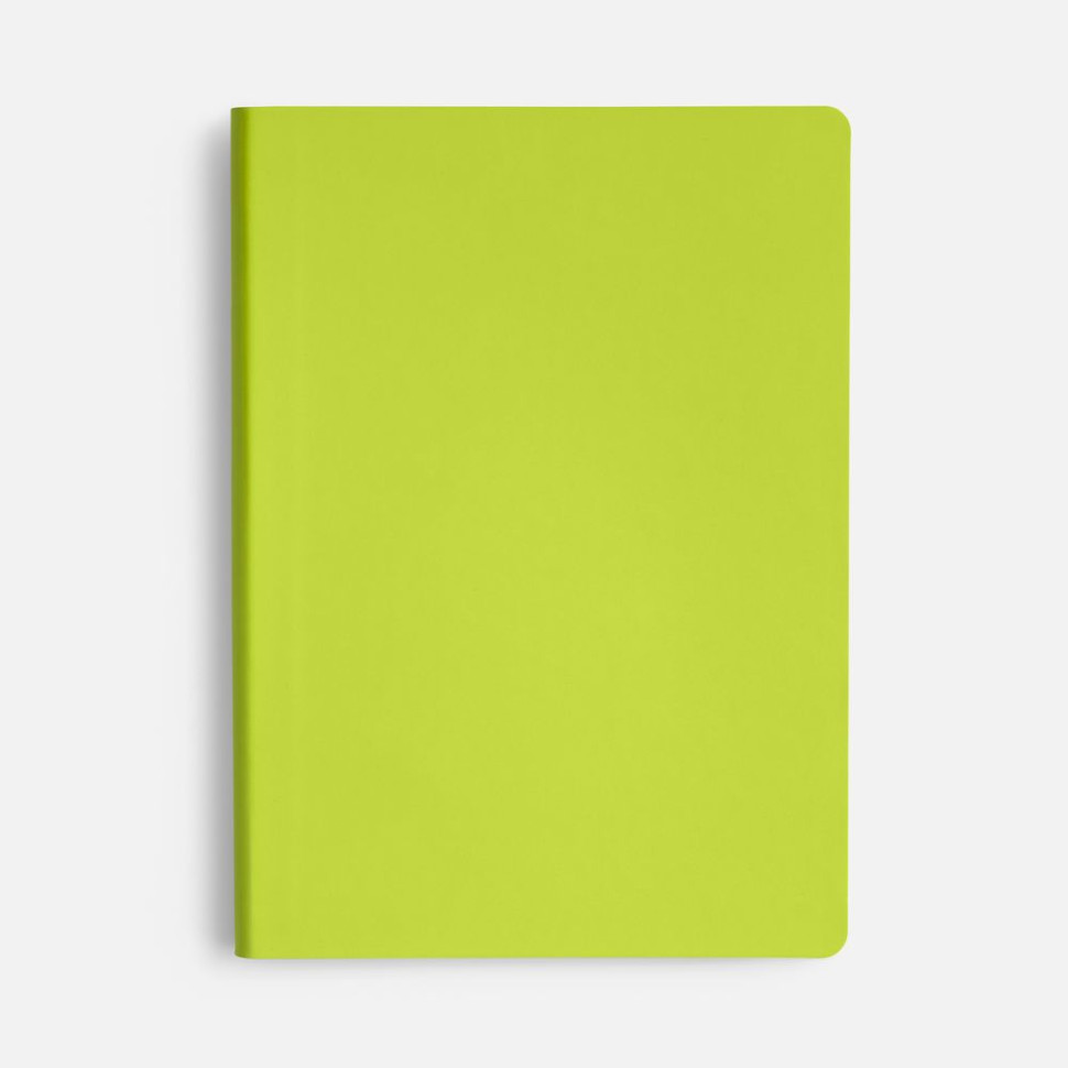 Ежедневник Flex Shall New, недатированный, светло-зеленый Ежедневник Flex Shall New, недатированный, светло-зеленый