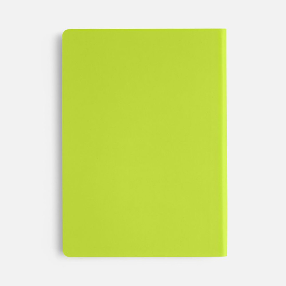 Ежедневник Flex Shall New, недатированный, светло-зеленый Ежедневник Flex Shall New, недатированный, светло-зеленый