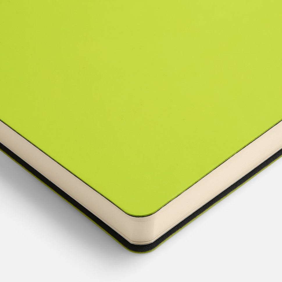Ежедневник Flex Shall New, недатированный, светло-зеленый Ежедневник Flex Shall New, недатированный, светло-зеленый