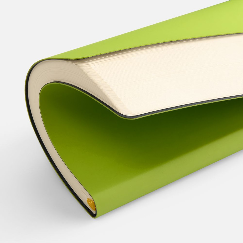 Ежедневник Flex Shall New, недатированный, светло-зеленый Ежедневник Flex Shall New, недатированный, светло-зеленый