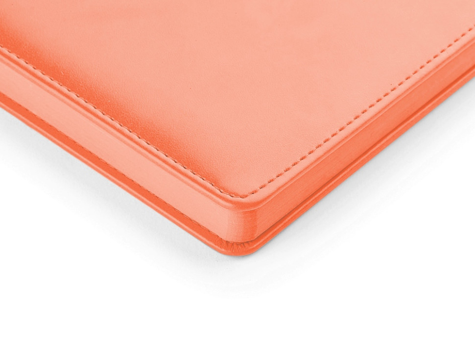 Ежедневник недатированный А5 Polo