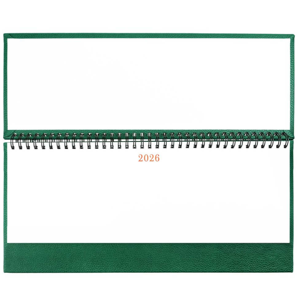 Планинг Sagrin, датированный, зеленый Планинг Sagrin, датированный, зеленый