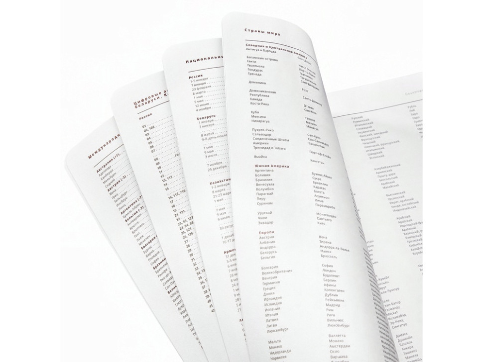 Ежедневник недатированный А5 Mercury