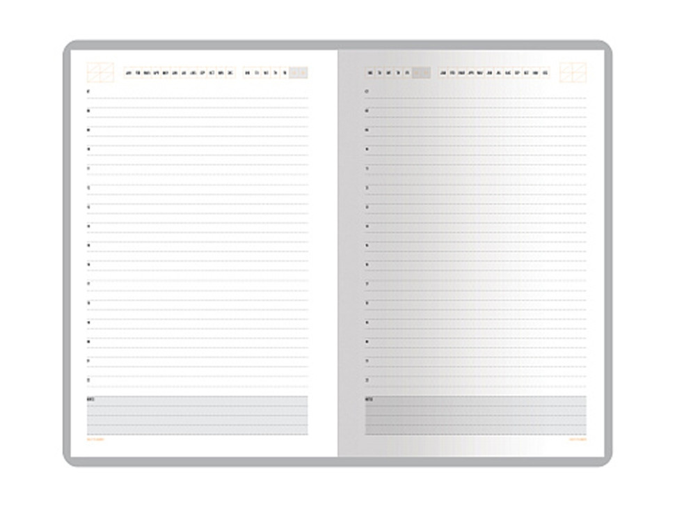 Ежедневник недатированный А5 Mercury