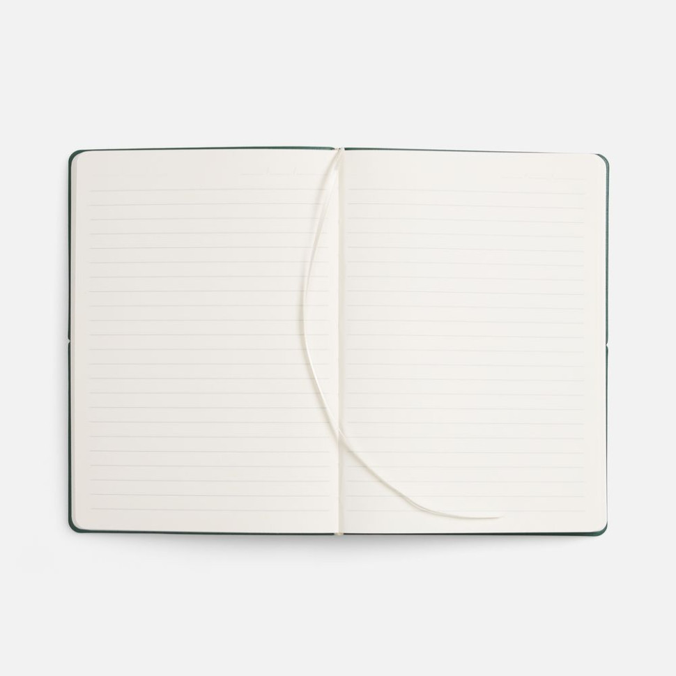 Ежедневник Kuka, недатированный, светло-зеленый Ежедневник Kuka, недатированный, светло-зеленый