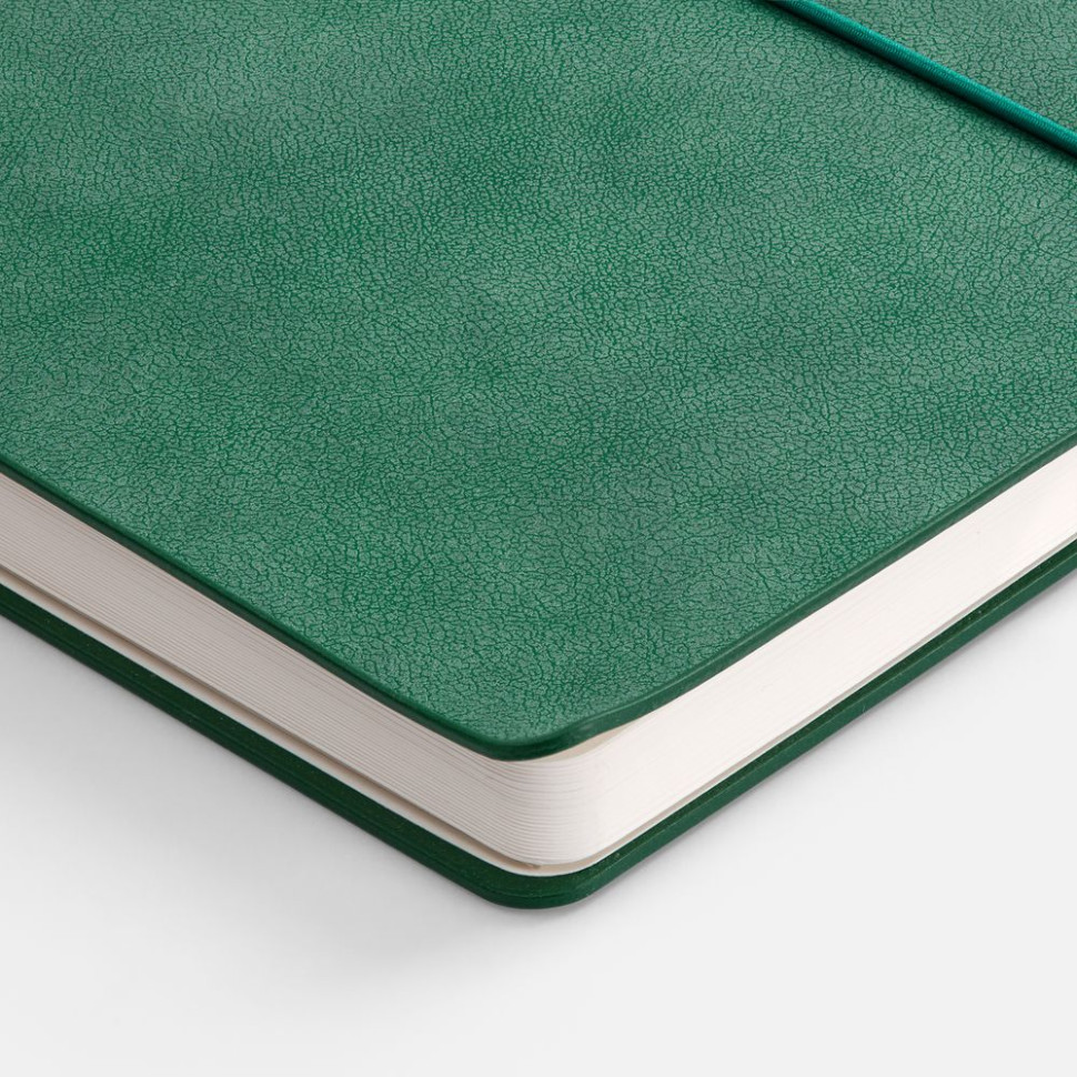 Ежедневник Kuka, недатированный, светло-зеленый Ежедневник Kuka, недатированный, светло-зеленый